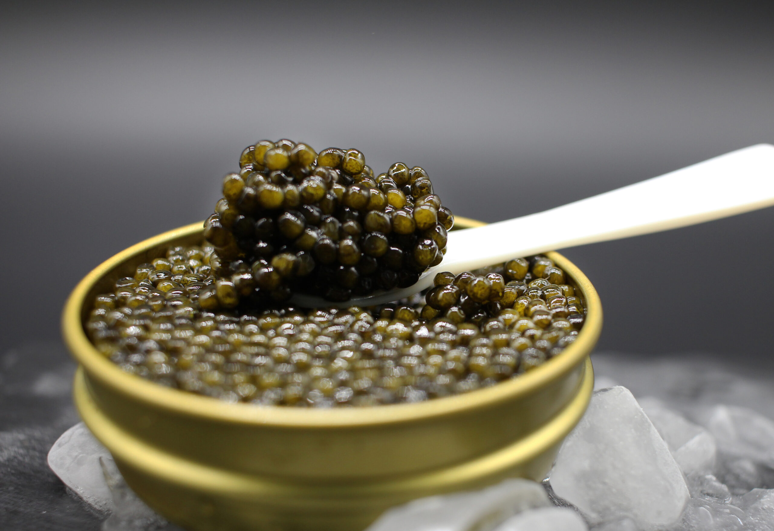 guia-del-caviar-muestra
